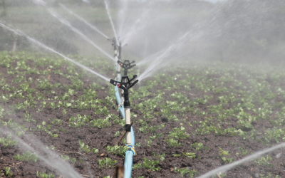 Eccellenze Rurali – Call for proposal “Gestione della risorsa idrica”