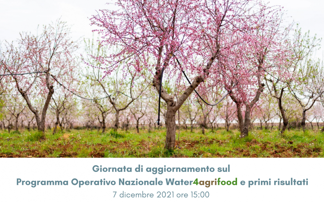Giornata di aggiornamento sul Programma Operativo Nazionale Water4AgriFood e primi risultati
